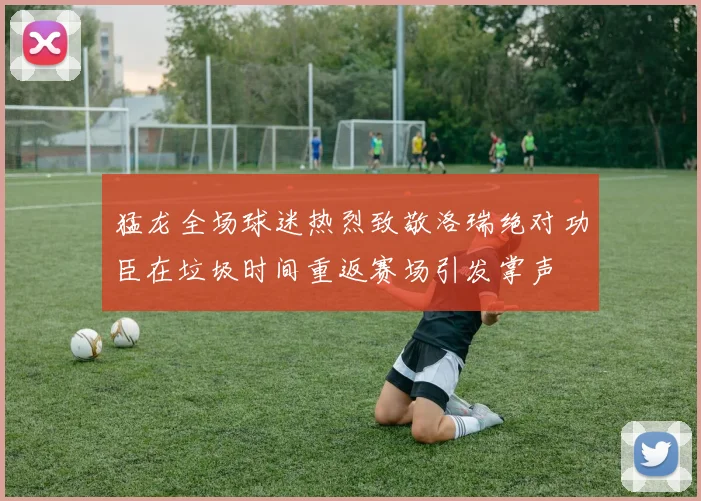 猛龙全场球迷热烈致敬洛瑞绝对功臣在垃圾时间重返赛场引发掌声